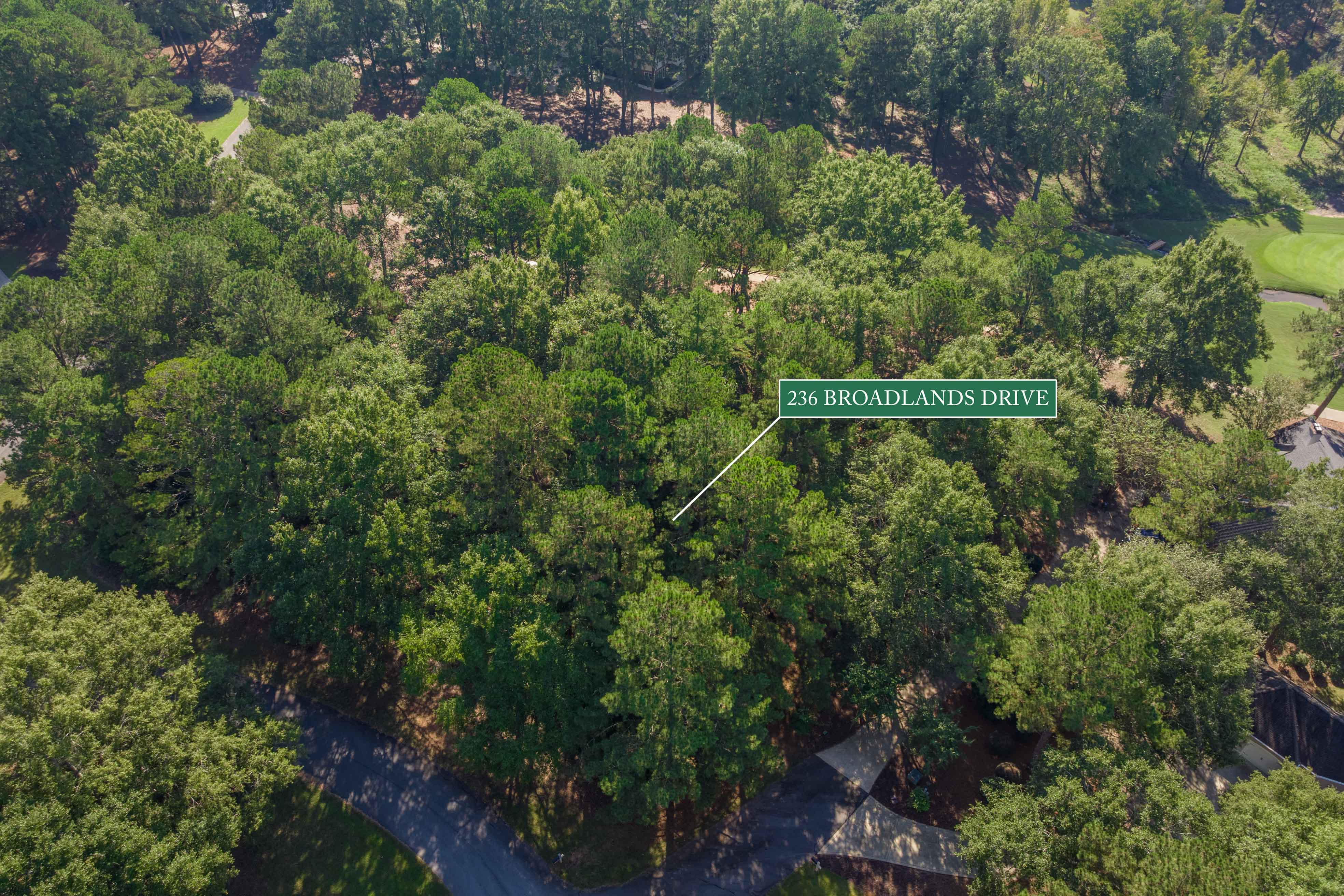 236 Broadlands Drive image 17